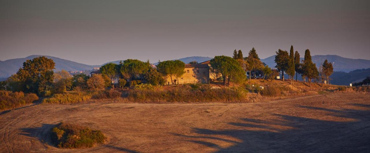 Podere San Francesco Bed and Breakfast Βολτέρρα Εξωτερικό φωτογραφία